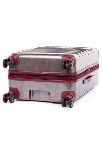 Shop Travelpro Rollmaster™ Lite 24" Expandable Medium Checked Hardside Spinner Luggage In Burgundy