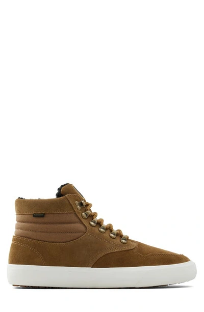 Shop Element Topaz C3 Sneaker In Medium Brown