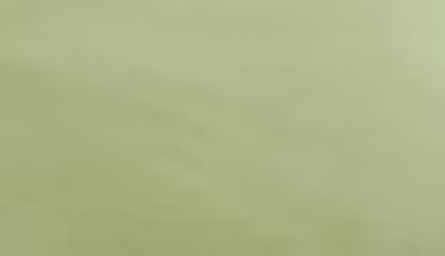 Southshore Fine Linens Vilano Springs Extra Deep Pocket Sheet Set In Sage Green