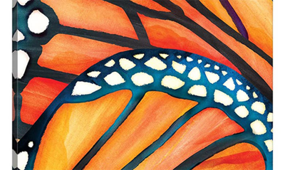 Icanvas Butterfly Modern Canvas Art By Polanika, 18"x12" In Orange