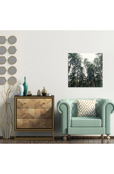 Icanvas Up In The Woods By Tordis Kayma Canvas Wall Art In Green