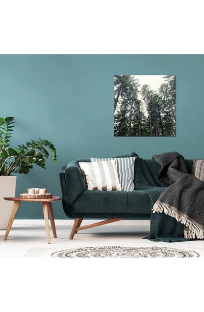 Icanvas Up In The Woods By Tordis Kayma Canvas Wall Art In Green