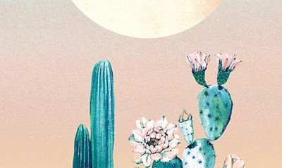 Icanvas Desert Dawn Cactus Ii By Nature Magick Canvas Wall Art In Orange