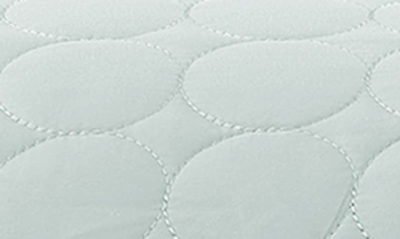 Southshore Fine Linens Ultra-soft Oversized Quilt Set In Hint Of Green
