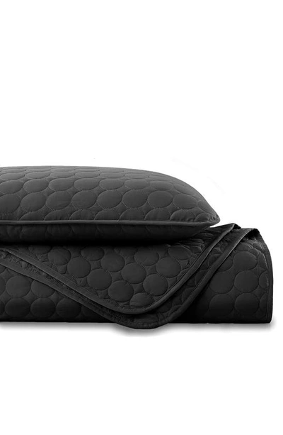 Southshore Fine Linens Ultra-soft Oversized Quilt Set In Black