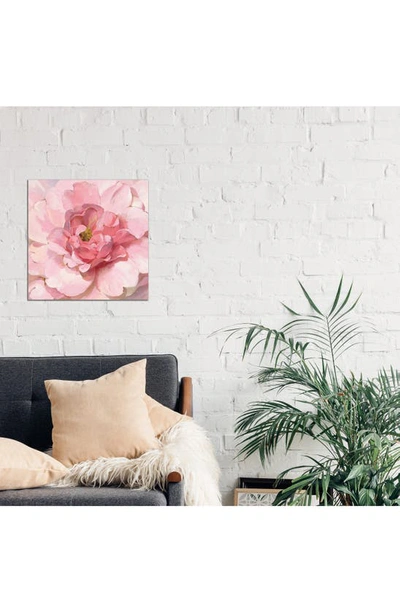 Icanvas Blushing Peony By Danhui Nai Canvas Wall Art In Pink