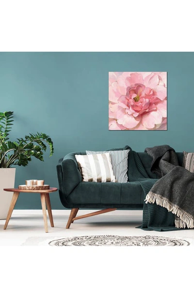Icanvas Blushing Peony By Danhui Nai Canvas Wall Art In Pink