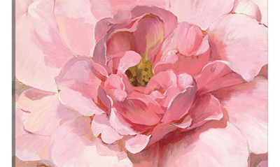 Icanvas Blushing Peony By Danhui Nai Canvas Wall Art In Pink