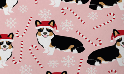 Deny Designs Petfriendly Tricolored Welsh Corgi Throw Pillow In Pink