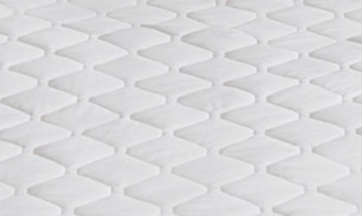 Shop Beautyrest Heated Mattress Pad In White