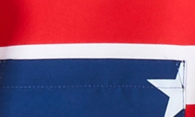 Shop Opposuits 2-piece Americana Summer Set In Blue