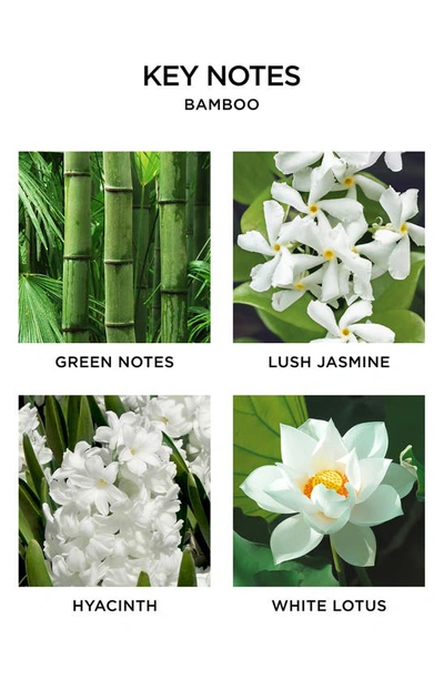 Nest New York Wall Diffuser Refill Set In Bamboo