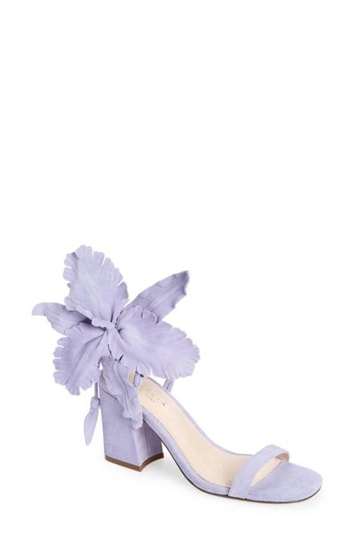 Shop Cecelia New York Hibiscus Sandal In Cielo Suede
