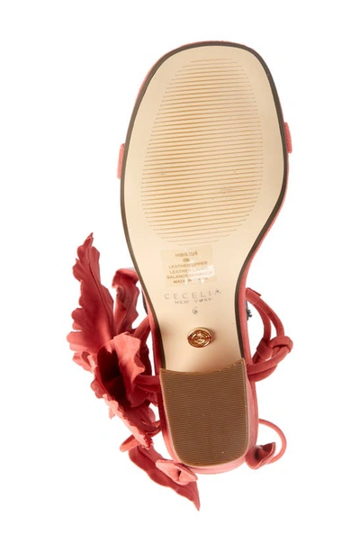 Shop Cecelia New York Hibiscus Sandal In Melon Suede