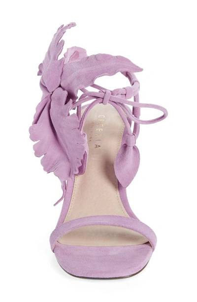 Shop Cecelia New York Hibiscus Sandal In Purple Suede