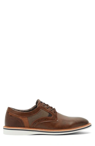 Shop Madden Vylla Plain Toe Derby In Brown