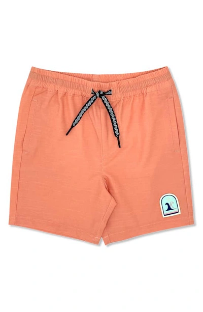Shop Feather 4 Arrow Kids' Seafarer Hybrid Shorts In Pap