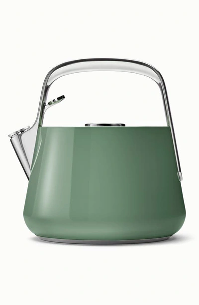 Caraway Whistling Tea Kettle In Sage