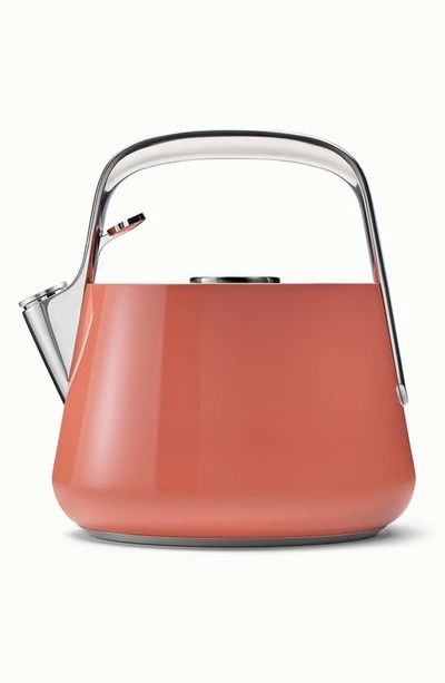 Shop Caraway Whistling Tea Kettle In Terracotta