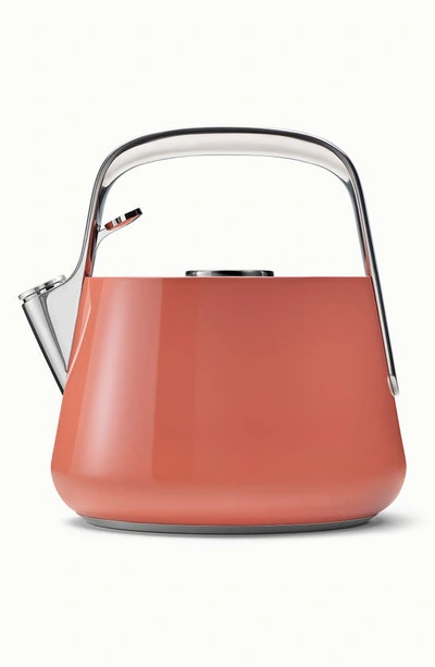 Caraway Whistling Tea Kettle In Terracotta