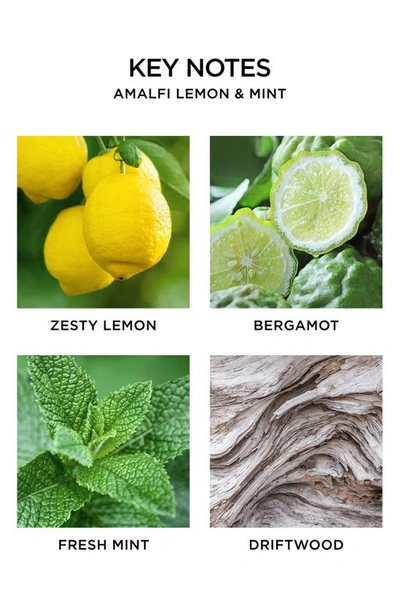 Nest New York Wall Diffuser Refill Duo In Amalfi Lemon & Mint