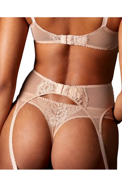 Shop Journelle Isabel Lace Suspender Belt In Amande