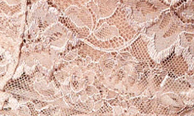 Journelle Isabel Lace Suspender Belt In Amande