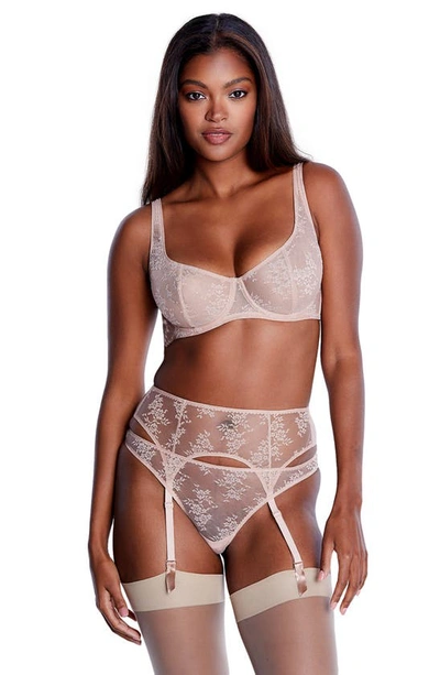 Shop Journelle Romy Lace Suspender Belt In Amande