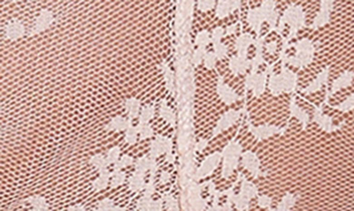 Journelle Romy Lace Suspender Belt In Amande