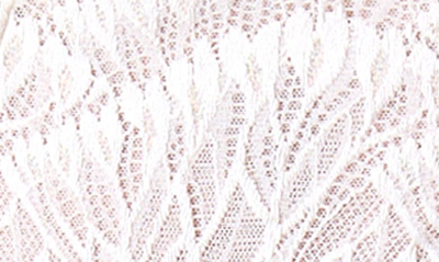 Journelle Loulou Lace Suspender Belt In Blanc