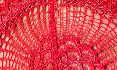 Journelle Natalia Lace G-string Thong In Scarlet