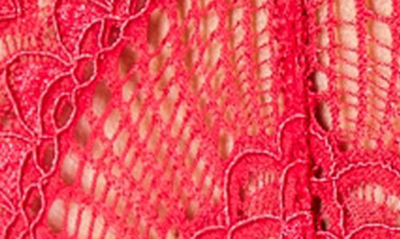Journelle Anais Suspender Belt In Scarlet