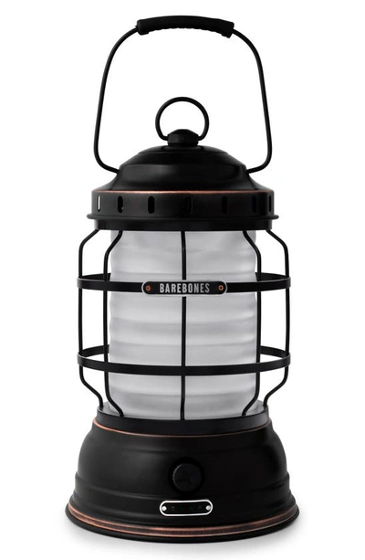 Shop Barebones Living Forest Lantern In Antique Bronze