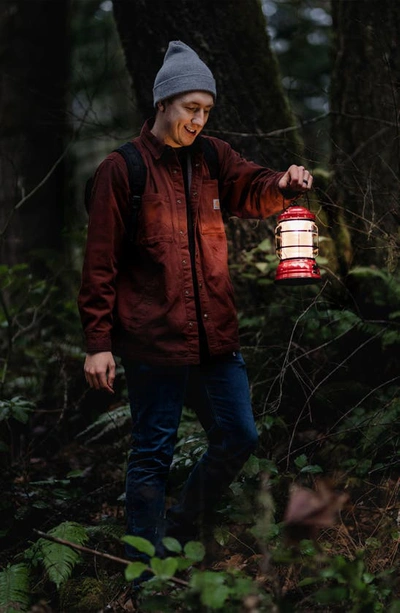 Shop Barebones Living Forest Lantern In Red
