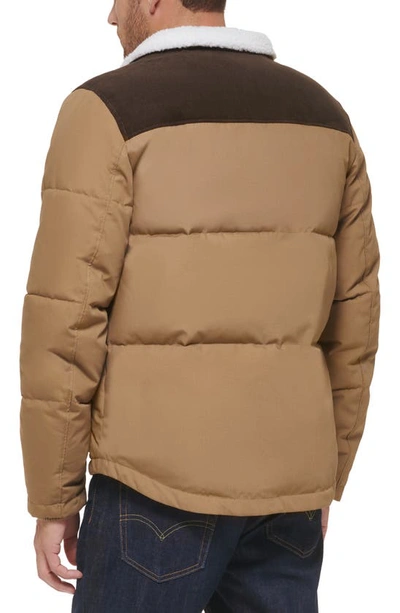 Levi's Woodsman High Pile Fleece Puffer Jacket In Tan Dark Brown Corduroy  Yoke | ModeSens