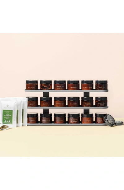 Evermill The Countertop Spice Rack In Gunmetal