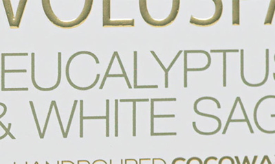 Voluspa Eucalyptus & White Sage Classic Candle 9.5 Oz. In Eucalyptus