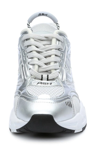 Shop Ash Race Sneaker In Silver/ Pearl