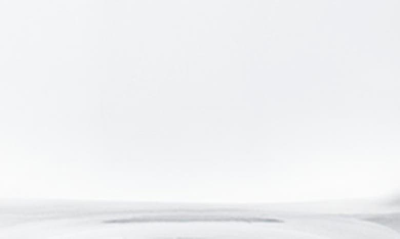Georg Jensen Two-pack Transparent Cobra Tall Tumblers In Clear