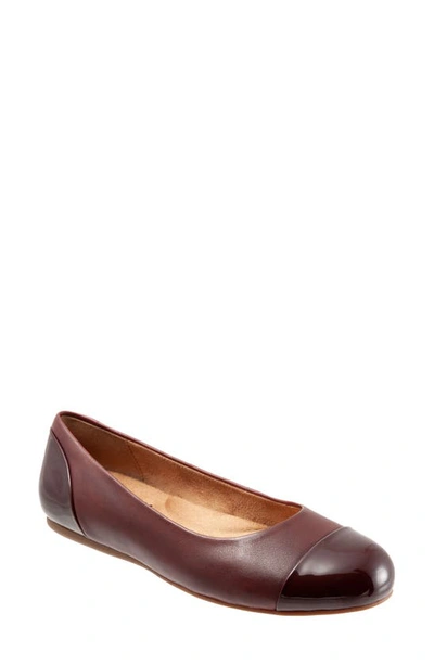 Shop Softwalkr Sonoma Cap Toe Flat In Dark Red Leather