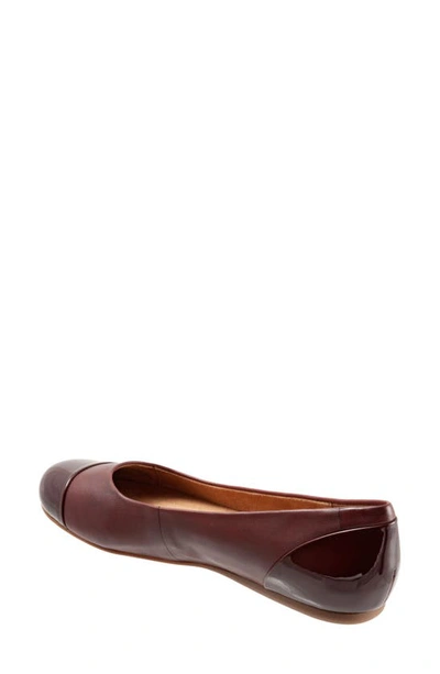 Shop Softwalkr Sonoma Cap Toe Flat In Dark Red Leather