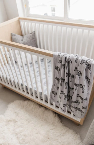 Oilo Zebra Cuddle Blanket In Gray