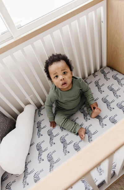 Oilo Zebra Jersey Crib Sheet In Gray