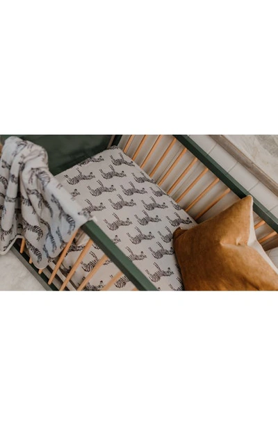 Shop Oilo Zebra Jersey Crib Sheet In Gray