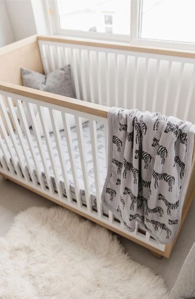 Oilo Zebra Cuddle Blanket & Fitted Crib Sheet Set In Gray