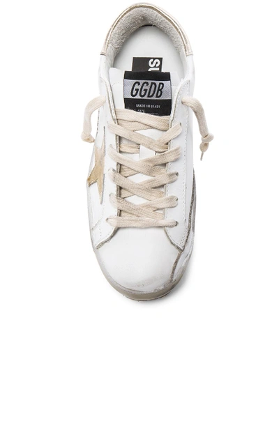 Shop Golden Goose Leather Superstar Low Sneakers In Sparkle White & Gold Star