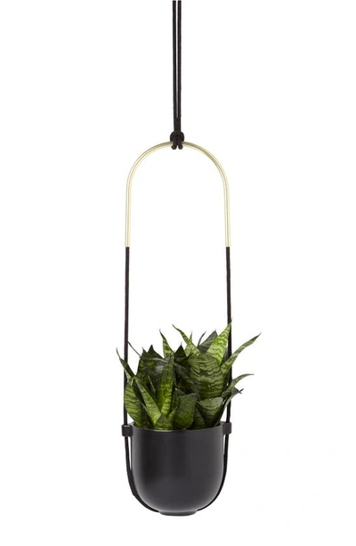 Shop Umbra Bolo Planter In Black