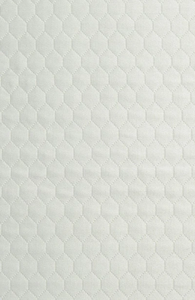 Sferra Favo Euro Sham In Seagreen
