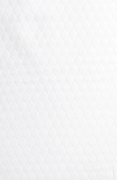 Sferra Favo Standard Sham In Powder