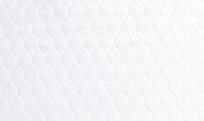 Sferra Favo Standard Sham In Powder